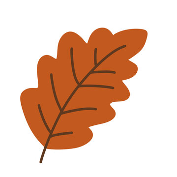 Cute illustration of orange leaf for autumn or fall season