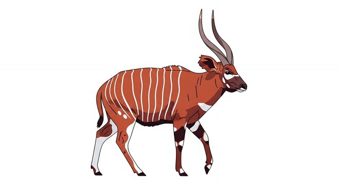 Majestic african bongo antelope wild animal with spiraled horns and white stripes isolated on white background