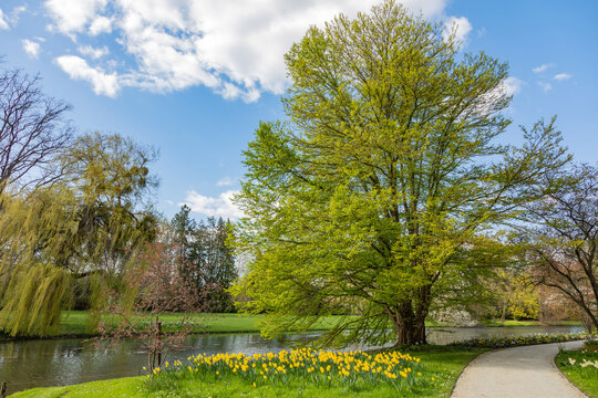 Fr&uuml;hling im Park