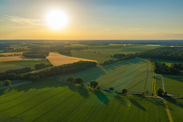 Naklejka premium Aerial top view on green crop field. Nature environment. Green harvest in field. Summer green field. Agricultural aerial landscape. Green crop agricultural farm landscape. Harvesting and cultivation