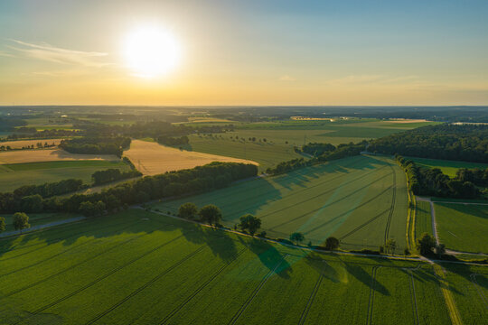 Aerial top view on green crop field. Nature environment. Green harvest in field. Summer green field. Agricultural aerial landscape. Green crop agricultural farm landscape. Harvesting and cultivation