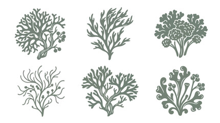 Seafloor vegetation collection © Lexxa