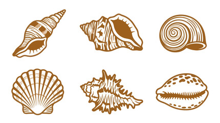 Seashell collection line art illustration © Lexxa