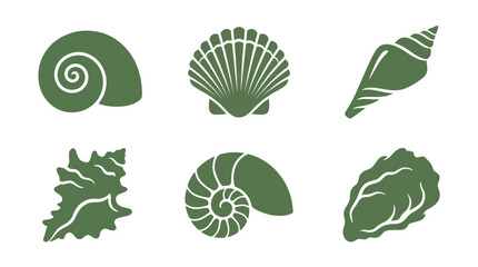 Seashell collection vector graphics © Lexxa