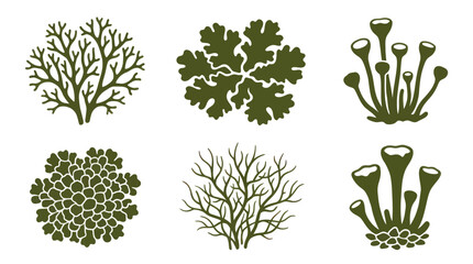 Set of organic plant shapes in green tones © Lexxa
