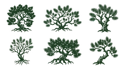 Stylized evergreen tree illustrations © Lukas