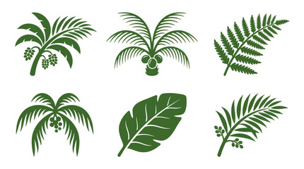 Obraz premium Tropical plant leaf illustrations