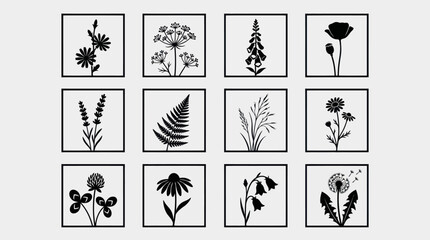 Botanical silhouette collection © Nikolas Abraham