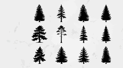 Obraz premium Collection of evergreen tree silhouettes