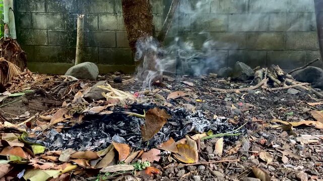 Burning Leaves and Debris: Wisps of smoke curl upwards from a pile of dry leaves and organic matter smoldering near a weathered wall, creating an atmospheric scene of decomposition and natural cycles.