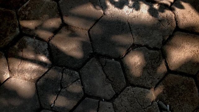 Stone Pavement Texture: Close-up of an aged stone pavement with hexagonal-shaped paving stones, showing intricate cracks and the dappled shadows of overhead foliage.