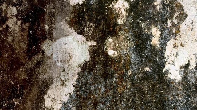 Texture of Decay: A close-up view of a crumbling wall, revealing patches of peeling paint, mold, and water stains, evoking a sense of age and neglect.