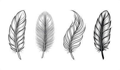 Elegant feather collection in intricate line art style with isolated white background for design © Graphic Seller