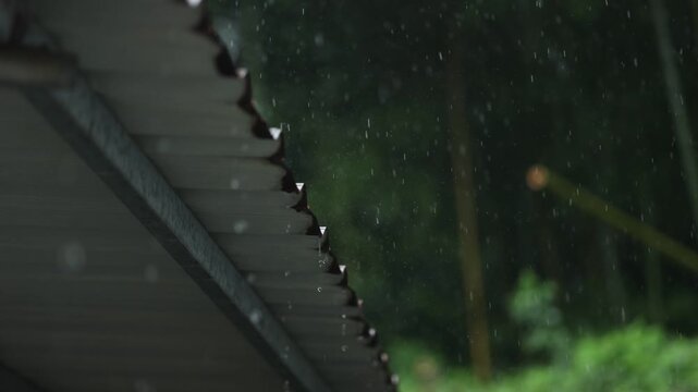 Heavy rain closeup with raindrops, eaves flow, bamboo leaf and calm white noise.