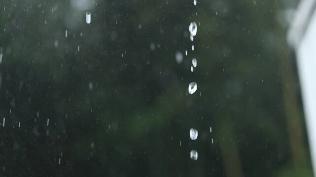 Heavy rain closeup with raindrops, eaves flow, bamboo leaf and calm white noise.