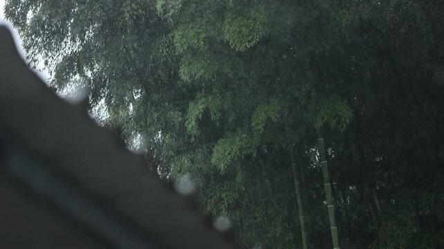 Heavy rain closeup with raindrops, eaves flow, bamboo leaf and calm white noise.