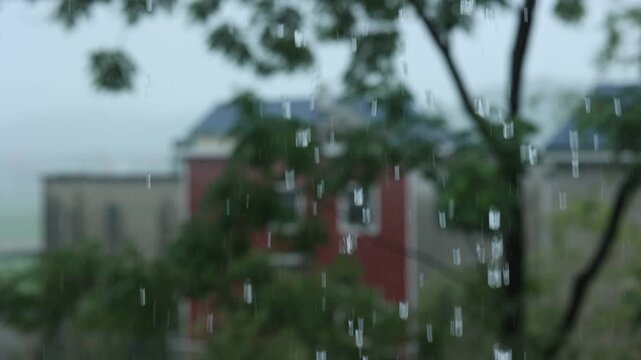 Heavy rain closeup with raindrops, eaves flow, bamboo leaf and calm white noise.