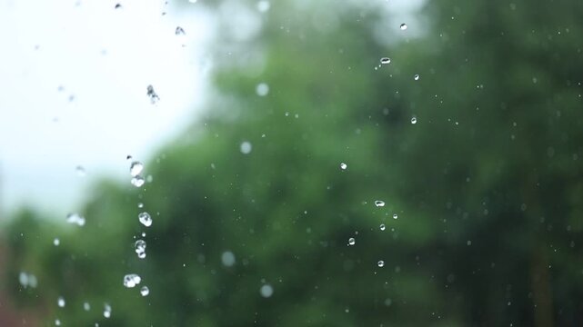 Heavy rain closeup with raindrops, eaves flow, bamboo leaf and calm white noise.