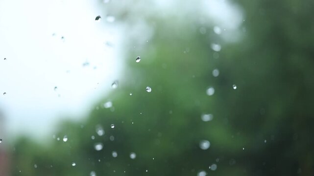 Heavy rain closeup with raindrops, eaves flow, bamboo leaf and calm white noise.