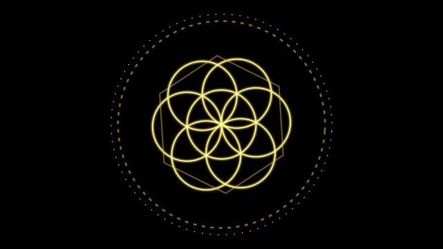 Animated Sacred Geometry Flower of Life and Hexagon Structure Loop Background