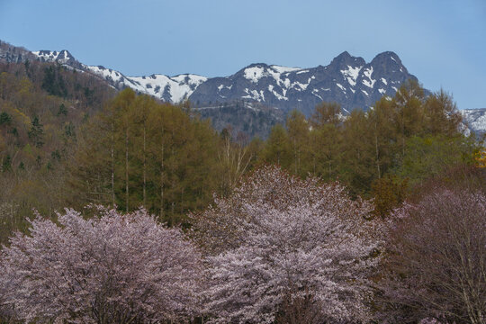 芦別市」の写真素材 | 302件の無料イラスト画像 | Adobe Stock