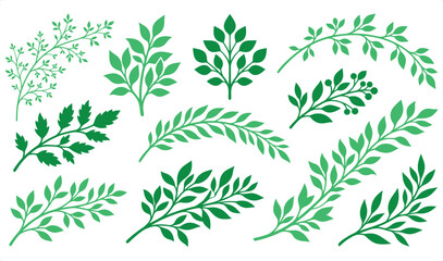Fototapeta premium Green Leafy Branches Collection Isolated On White Background Vector Illustration Nature Elements Design