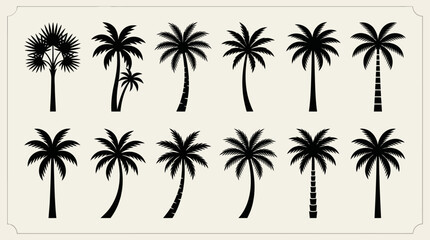 Fototapeta premium Collection of palm tree silhouettes