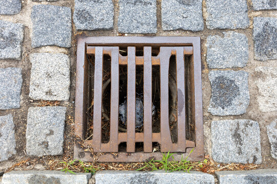 Storm drain