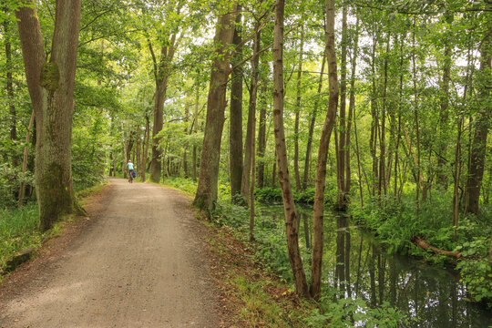 Radweg im Spreewald zwischen L&uuml;bbenau und Leipe