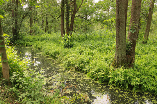 Spreewaldidylle bei L&uuml;bbenau