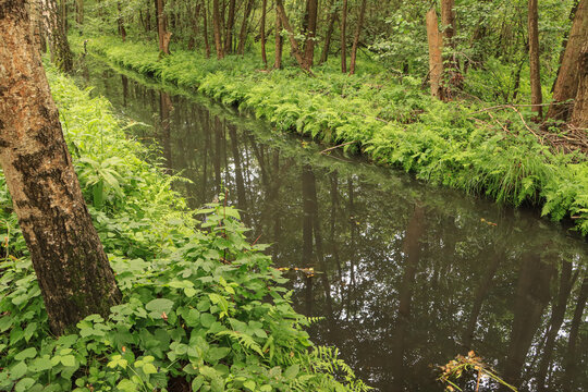 Spreewaldidylle bei Leipe