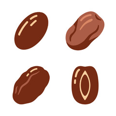 Fototapeta premium Dried Dates Collection Healthy Sweet Fruit Illustration