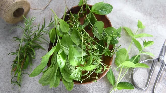 Fresh aromatic herbs harvested for cooking