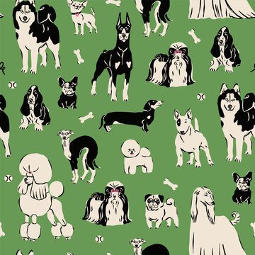 Different Dogs, various breeds. Domestic animals in various poses. Doberman, chihuahua, afghan hound, poodle, greyhound, bull terrier, husky, pug. Hand drawn Vector illustration. Seamless Pattern