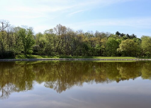 The peaceful lake in the countryside on a sunny day.