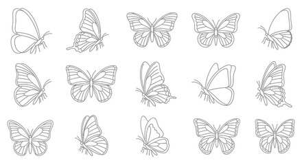 Collection of delicate hand drawn butterfly illustrations in a minimalist style © Kawsar_Studio1998