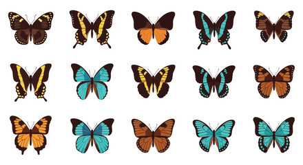 Collection of vibrantly colored butterflies displayed in a grid arrangement © Kawsar_Studio1998
