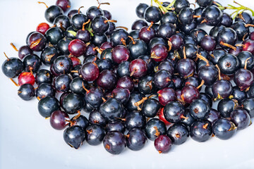 Ripe organic black currants close-up. Raw summer berries crop, healthy eating, vitamins and natural dessert concept. © Juli