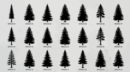 Fototapeta premium Forest tree silhouettes set