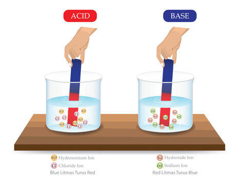 Acid and Base Litmus Test Experiment Illustration Showing Color Change of Litmus Paper in Acidic and Alkaline Solutions with Hydronium Hydroxide and Ion Representation Educational Chemistry Diagram.