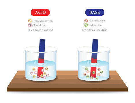 Educational illustration comparing acid and base reactions with litmus testing strips in beakers chemistry lesson science class chemistry experiment.