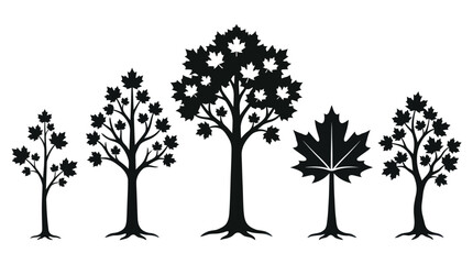 Vector tree silhouettes with maple leaves © StyloPink