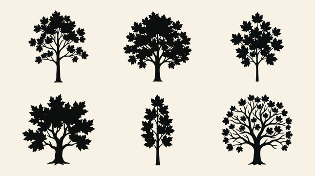 Various silhouette trees with maple leaves