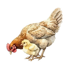 Watercolor vector illustration of a chicken © Menhikki