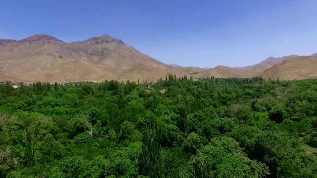 Spectacular bird-eye uav perspective focusing on a dense green forest canopy inside a quiet mountain valley basin, revealing pristine natural designs and organic ecological traits code.