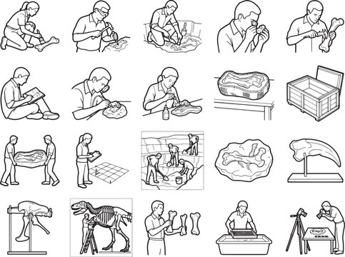 A compilation of line drawings illustrates various stages of archaeological excavation and fossil preservation, depicting scientists meticulously unearthing, cleaning.