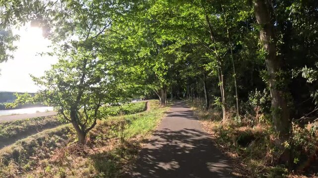 Scenic bicycle journey through a traditional Dutch polder landscape with canals, fields and distant farmhouses