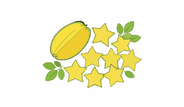 Fresh Carambola Star Fruit Top View Flat Lay Vector Illustration Isolated on White Background