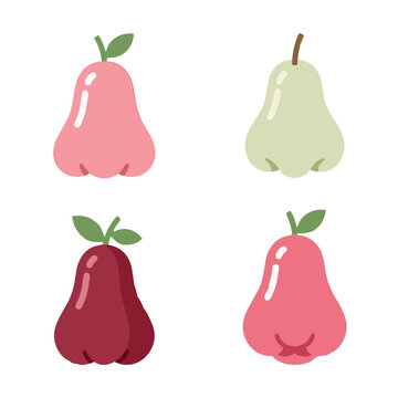 Rose Apple Fruit Collection Flat Design Style