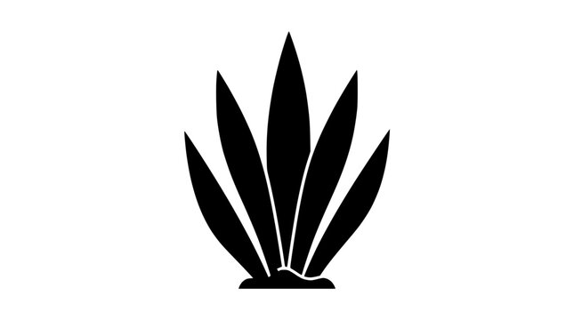 Minimalist black silhouette of agave plant leaves on white background